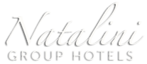 Logo Natalini Group